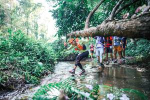 BIB: 
                            <button type="button" onclick="openModal(25449307)" class="btn btn-primary btn-sm float-right btn-popup" data-toggle="modal" data-target=".modal-high-quality">
                        <i class="fas fa-shopping-cart"></i> Add to Cart
                    </button>
                                            <button type="button" onclick="isThisMe(25449307, true)" class="btn btn-success btn-sm float-right btn-popup btn-isme hidden" data-toggle="tooltip" data-placement="bottom" title="นี่คือรูปของคุณใช่ไหม คลิกที่นี่เพื่อเอาเข้าอัลบั้ม">
                        <i class="fas fa-plus"></i> Add to album
                    </button>
                    <button type="button" onclick="isThisMe(25449307, false)" class="btn btn-warning btn-sm float-right btn-popup btn-isnotme hidden">
                        <i class="fas fa-ban"></i> Remove from album
                    </button>